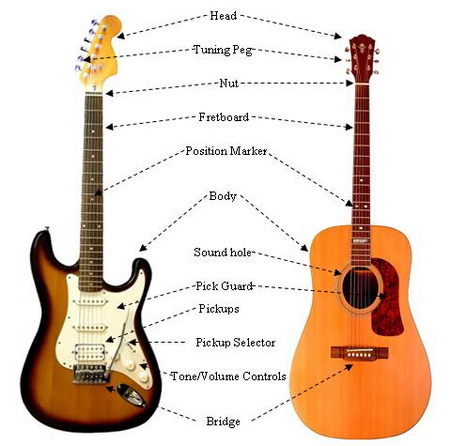 guitar electric acoustic
 on Acoustic and Electric Guitar Parts and Description
