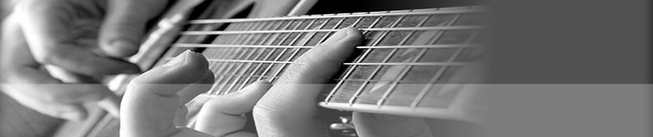 The fretboard of a guitar